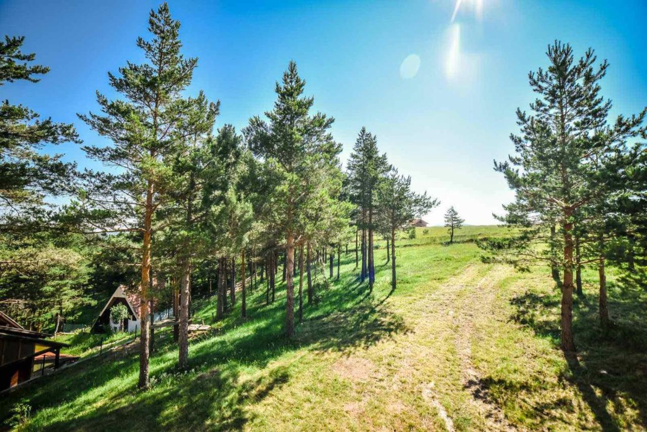 Ng Apartmani Tornik Zlatibor Eksteriør bilde