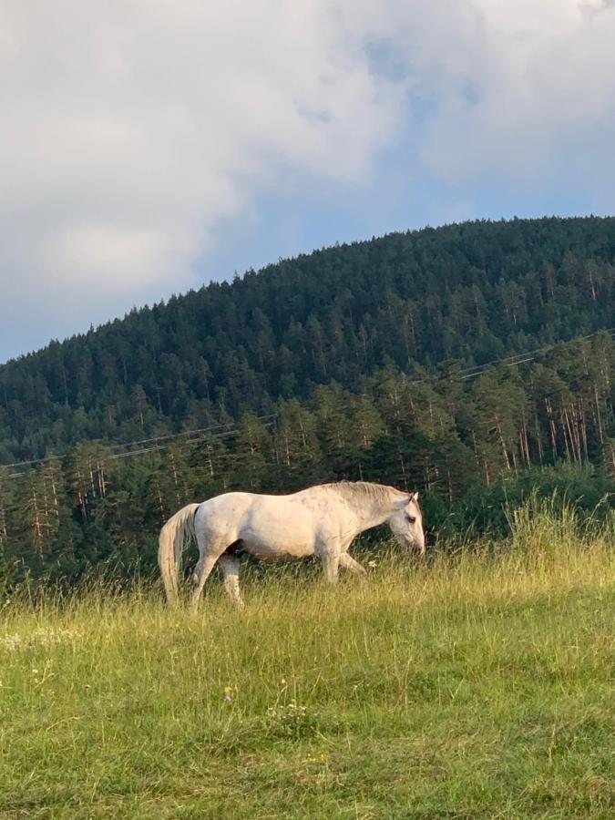 Ng Apartmani Tornik Zlatibor Eksteriør bilde
