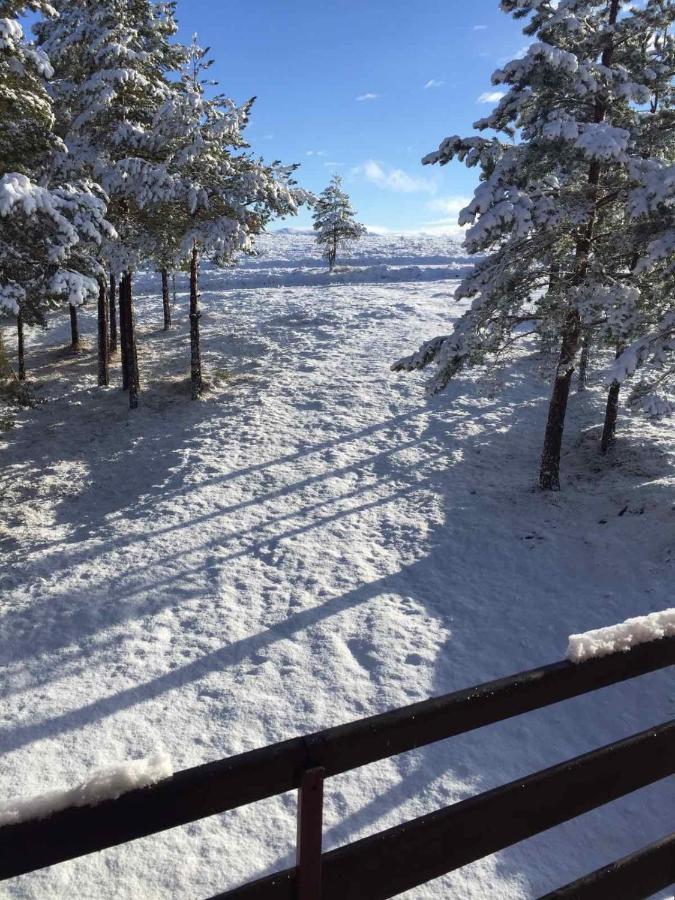 Ng Apartmani Tornik Zlatibor Eksteriør bilde
