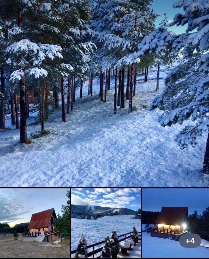 Ng Apartmani Tornik Zlatibor Eksteriør bilde