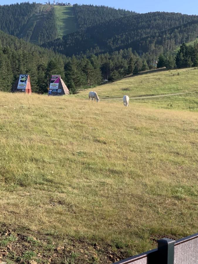 Ng Apartmani Tornik Zlatibor Eksteriør bilde