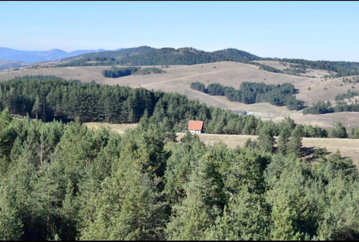 Ng Apartmani Tornik Zlatibor Eksteriør bilde
